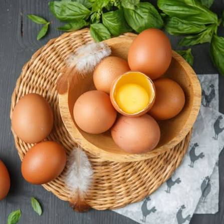 Kiaušiniai – tobulas baltymų ir riebalų balansas
